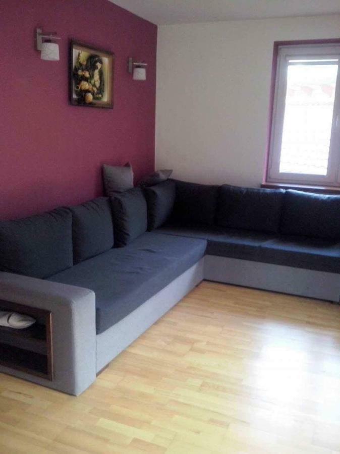 Noclegi U Gosi Ustrzyki Dolne Extérieur photo