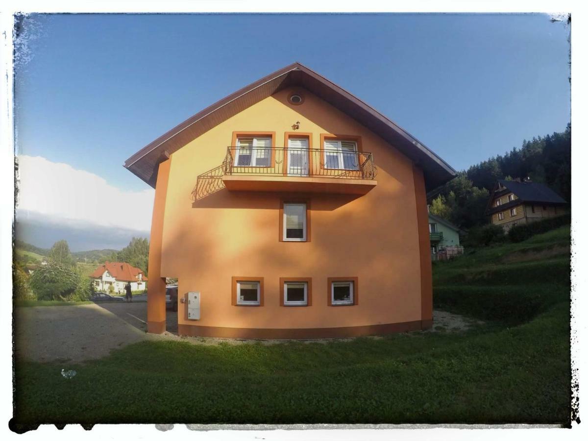 Noclegi U Gosi Ustrzyki Dolne Extérieur photo